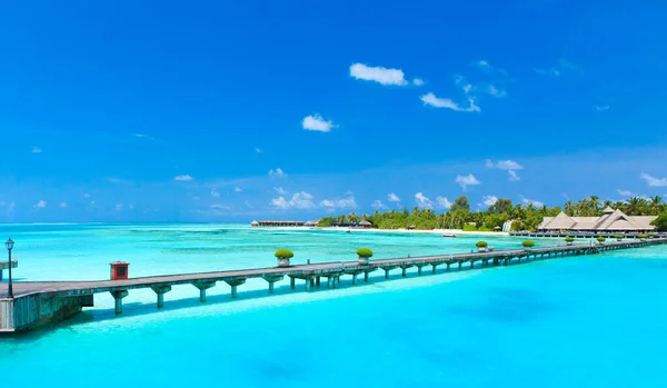 Playa Tropical Maldivas Con Pocas Palmeras Laguna Azul — Foto de Stock