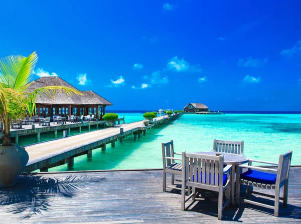 Playa Tropical Blanca Maldivas Con Pocas Palmeras Laguna Azul —  Fotos de Stock