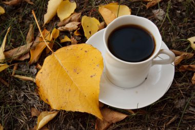 Kahve Kupası ve sarı sonbahar yaprak