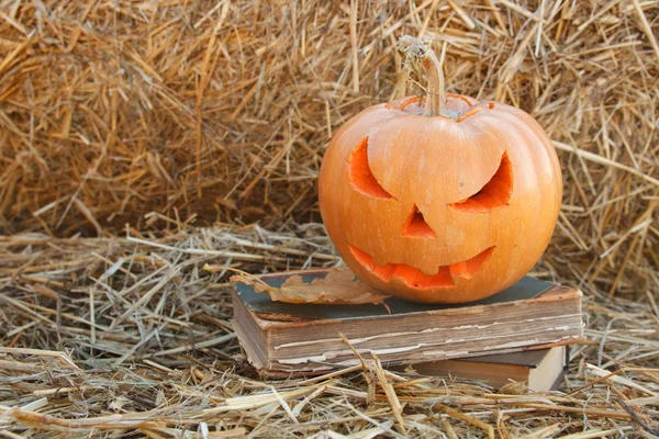 Halloween pompoenen — Stockfoto