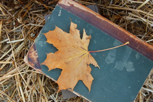 Yellow leaf on a book — Stock Photo, Image