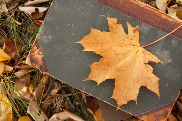 Yellow leaf on a book — Stock Photo, Image