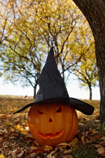 Abóboras de Halloween na floresta de outono — Fotografia de Stock