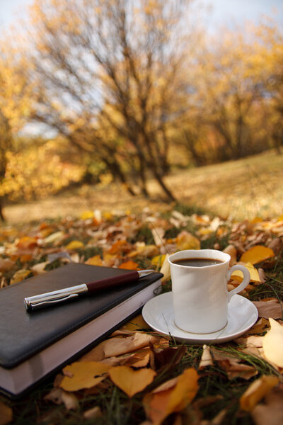 Autumn scene. Coffee cup and books