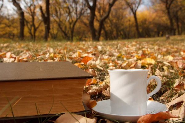 Escena de otoño. Taza de café y libros — Foto de Stock