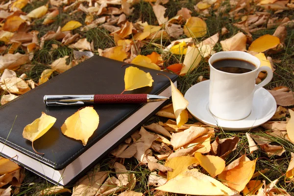 Escena de otoño. Taza de café y libros — Foto de Stock