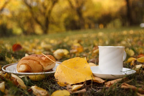 Podzimní scény. káva a croissant. krásný den — Stock fotografie