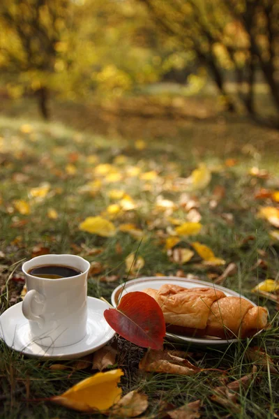 Podzimní scény. káva a croissant. krásný den — Stock fotografie