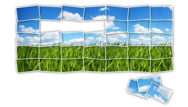 Zöld mező mozaik — Stock Fotó