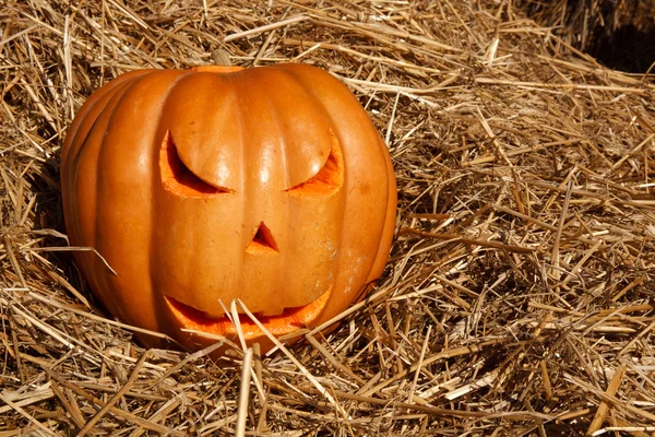 Halloween pompoenen — Stockfoto