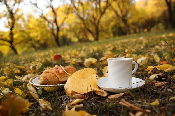 Podzimní scény. káva a croissant. krásný den — Stock fotografie