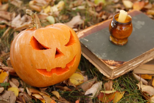 Halloween pompoenen — Stockfoto