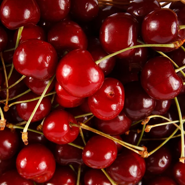 Fundo de cerejas — Fotografia de Stock