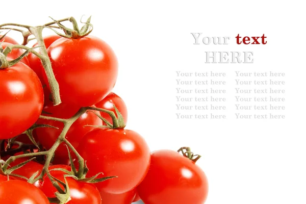 Foto de cerca de tomates. Lugar para su texto — Foto de Stock