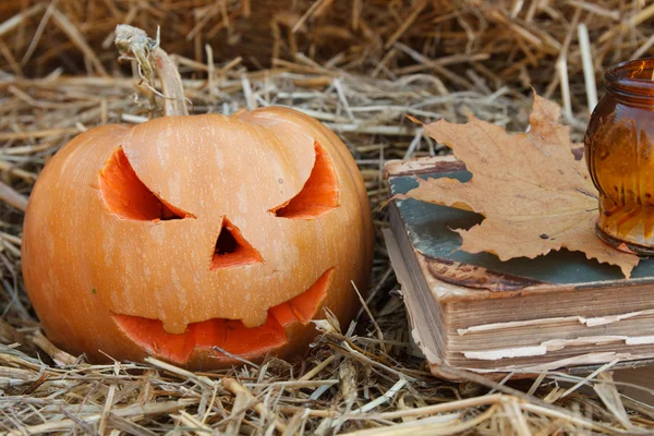 Halloween pompoenen — Stockfoto