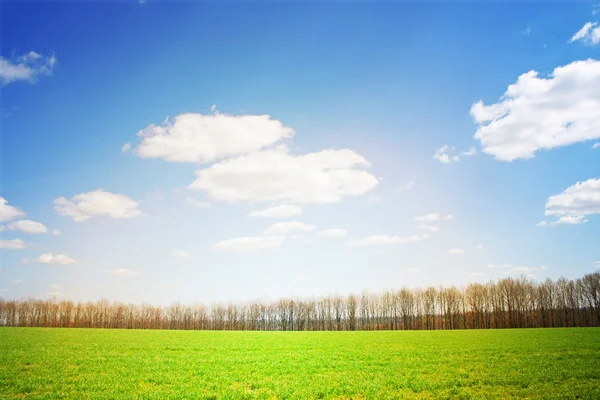 Sommertag — Stockfoto