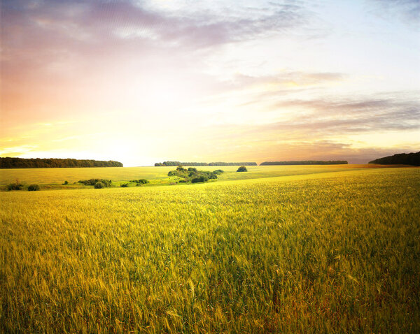 Красиво летний пейзаж
