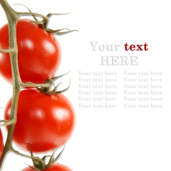 Close-up foto van tomaten. — Stockfoto