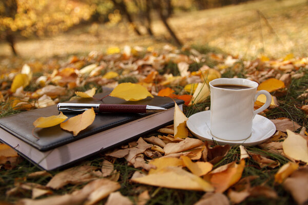 Autumn scene. Coffee cup and books