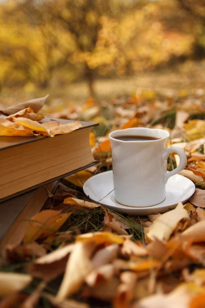 Herfst scène. Koffiekopje en boeken Rechtenvrije Stockafbeeldingen