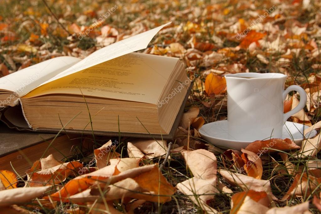 Autumn scene. Coffee cup and books — Stock Photo © puhfoto #18045467
