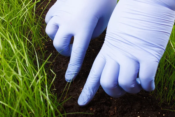 Werken tuinman — Stockfoto