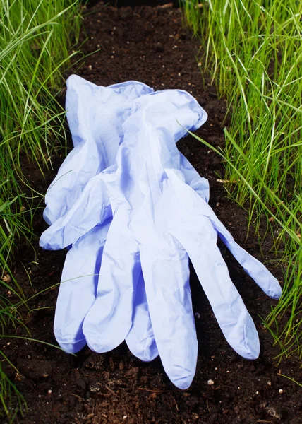 Gardening gloves on the grass — Stock Photo, Image