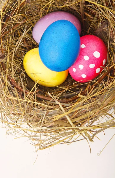Velikonoční hnízdo s vejci — Stock fotografie