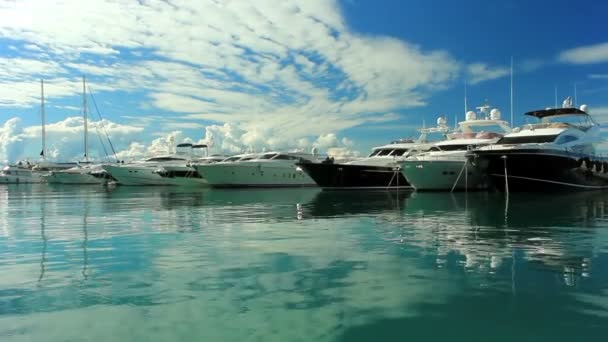 Luxury yachts moored on pier — Stock Video