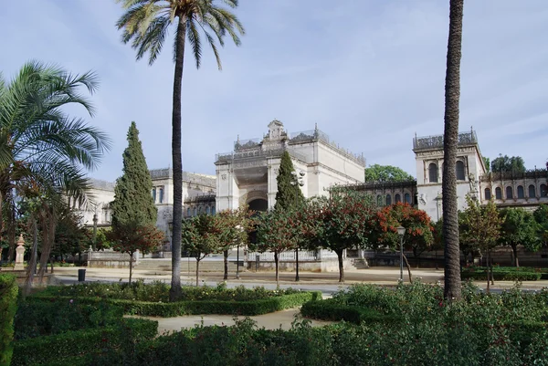 Widok na park Marii - luisa w Andaluzji — Zdjęcie stockowe