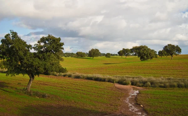 Paisaje en Alentejo — Foto de Stock