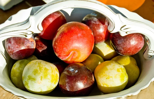 Fruit in vaas — Stockfoto
