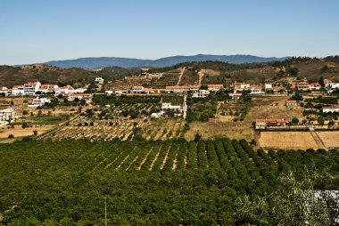 silves, portuga antik şehirdeki eski sokak