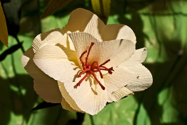 The flowers from paper — Stock Photo, Image