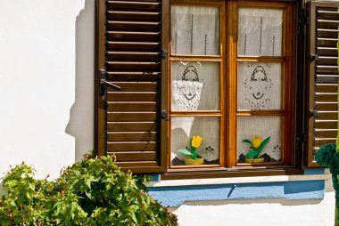 çiçekler penceresiyle