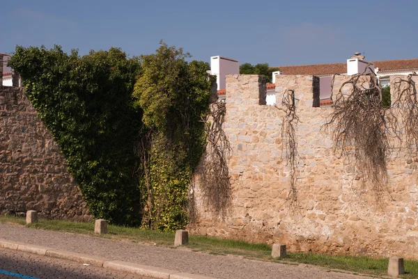 Weergave van Évora — Stockfoto