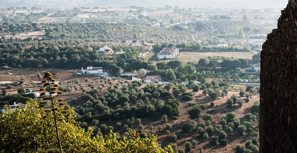 Tittar över typiska hus i montemor — Stockfoto