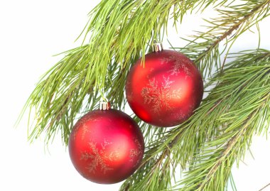 brach Noel topları