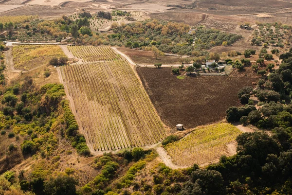 Landskapet i Andalusien — Stockfoto