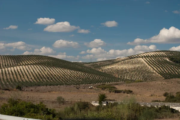 Spanische landschaft außerhalb olvera, spanien — Stockfoto