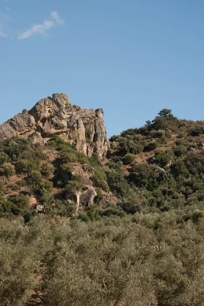 Paisaje español fuera de Olvera, España — Foto de Stock