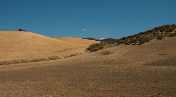 Spanish landscape outside Olvera, Spain — Stock Photo, Image