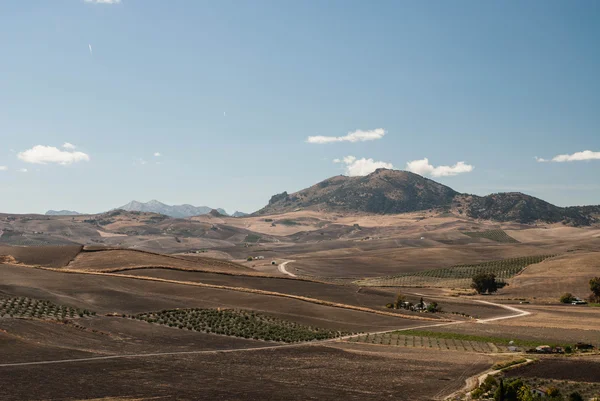 The landscape of Andalusia — Stock Photo, Image