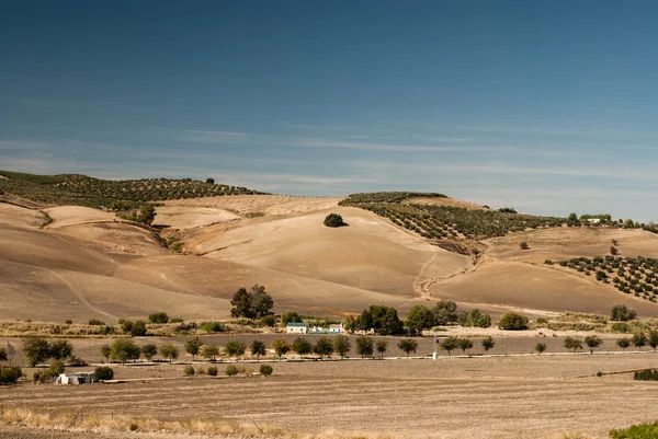 Landskapet i Andalusien — Stockfoto