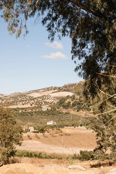 Spaanse landschap buiten olvera, Spanje — Stockfoto
