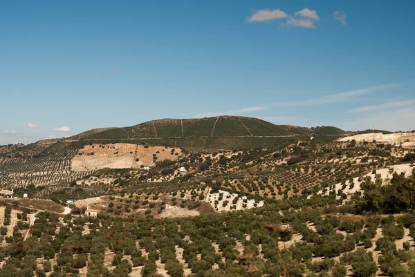 Spanska landskap utanför olvera, Spanien — Stockfoto