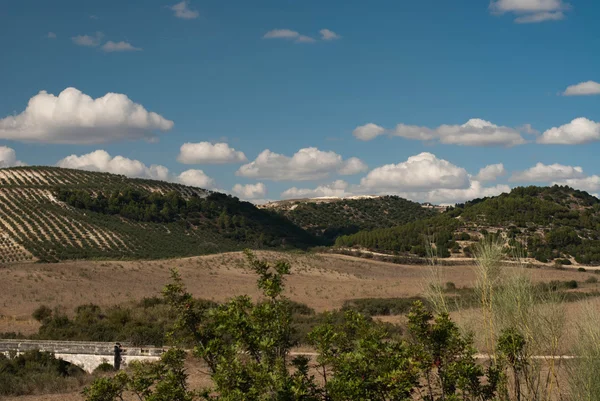 Spanische landschaft außerhalb olvera, spanien — Stockfoto
