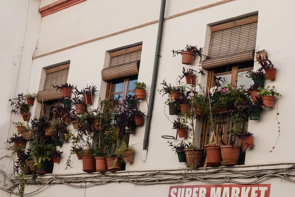 Weergave van witte stad ronda — Stockfoto