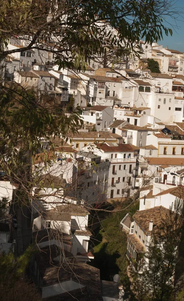 Setenil de las Bodegas is one of the pueblos blancos (white vill — Stock Photo, Image