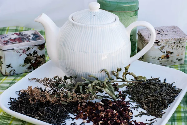 The teapot of tea — Stock Photo, Image